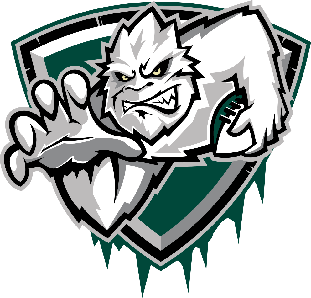 Green Bay Blizzard 2015-Pres Secondary Logo iron on transfers for T-shirts